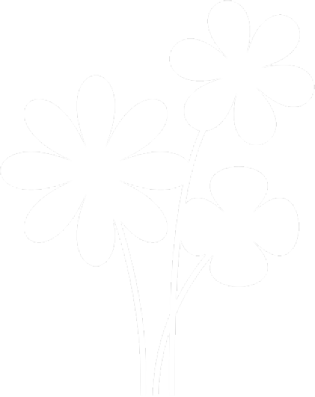 澧縣海薇國(guó)際F2C美妝直購(gòu)店盛大開(kāi)業(yè)，禮品免費(fèi)送3天！